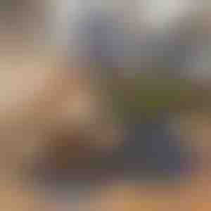 Sklopiva posuda za hranu i vodu za kućne ljubimce 2 u 1 | WOOFDISH