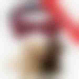 2 x Blagdanski ovratnik za pse s pahuljicama | DOGICOLLAR